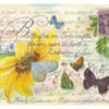 Gossamer-Winged Butterfly Family Postcards