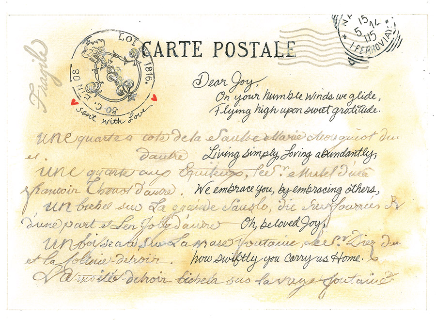 Skipper Family Butterfly Postcards - Image 2