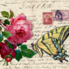 Swallowtail Butterfly Romances a Rose Seed Packet - Image 3