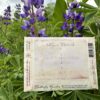 Swallowtail Butterfly Romances a Rose Seed Packet - Image 2