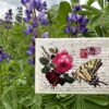 Swallowtail Butterfly Romances a Rose Seed Packet