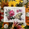 Swallowtail Butterfly Romances a Rose Seed Packet - Image 4